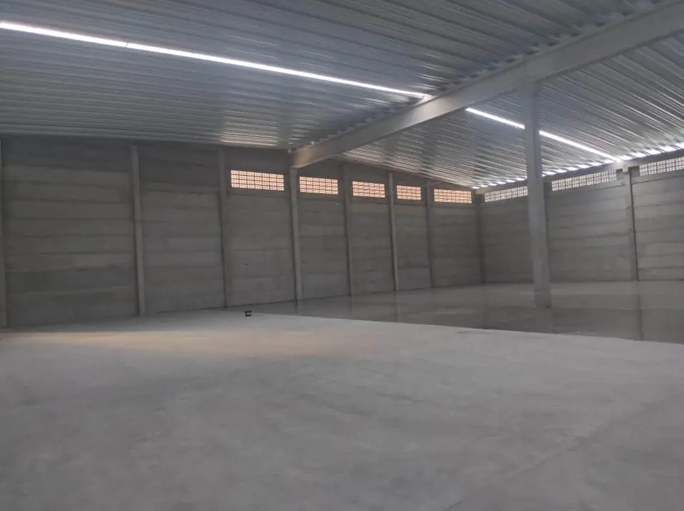 Obra Edson Andrade, foto 5